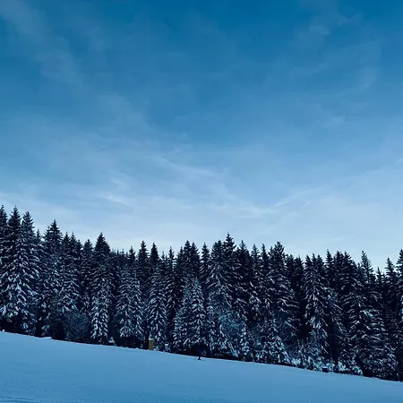 Myslivna Vendégház Harrachov